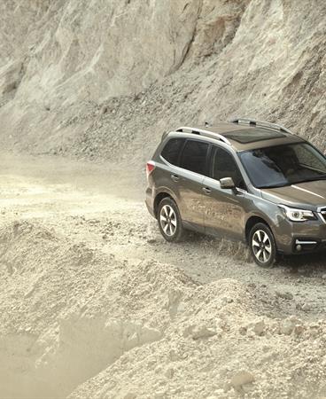 BRAND_PHOTOGRAPHY_SUMMER16_FORESTER_GRADE A_4958_300_CMYK HR